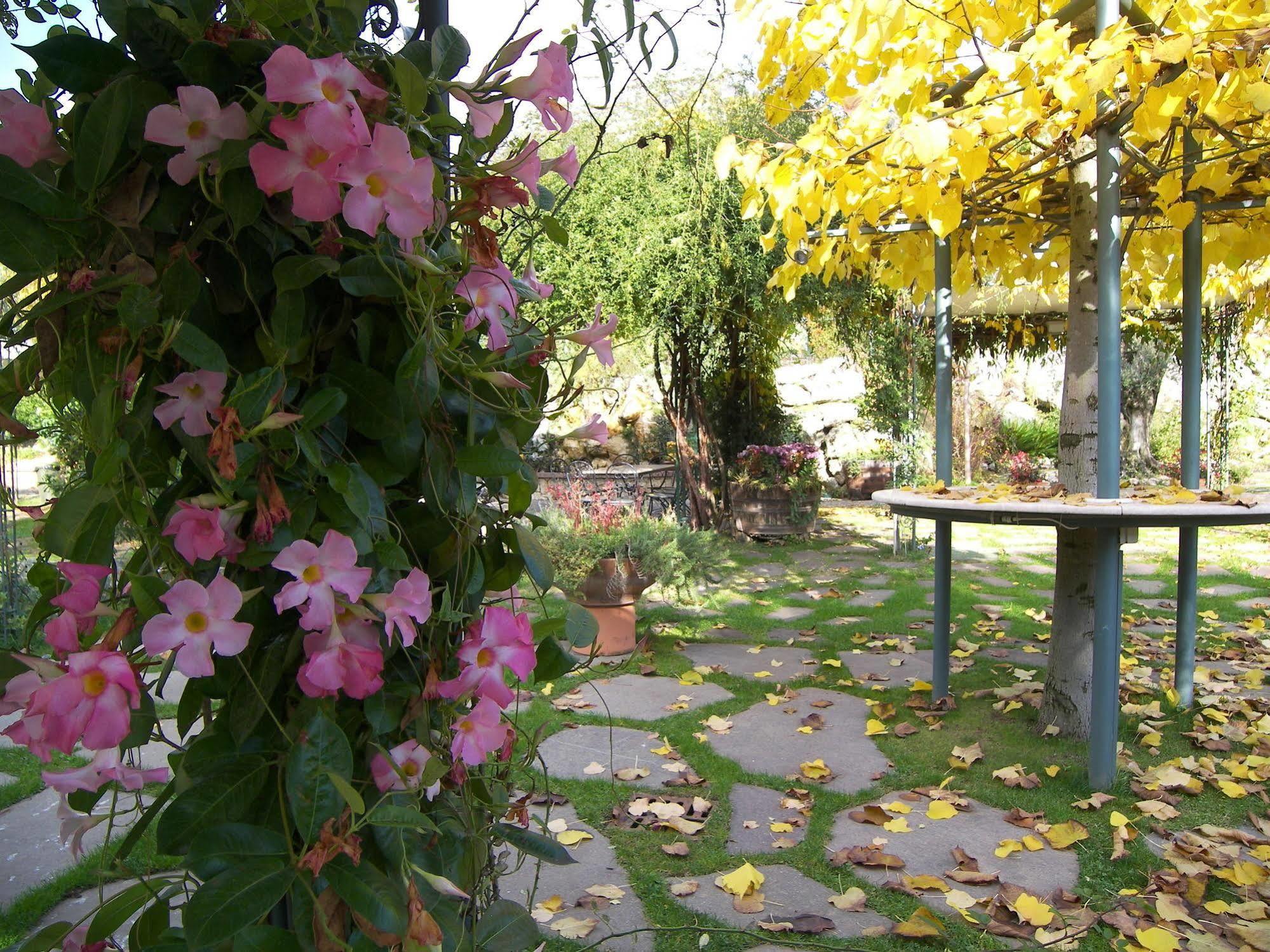Hotel Des Reves Sant'Elia Fiumerapido Bagian luar foto